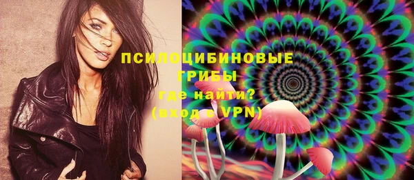 PSILOCYBIN Алексин