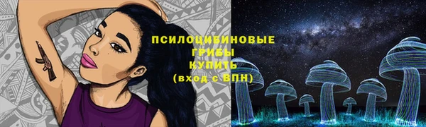PSILOCYBIN Алексин