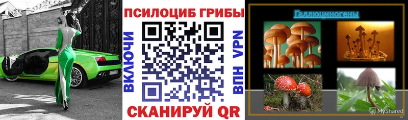 Псилоцибиновые грибы ЛСД  сайты даркнета клад  Цимлянск  магазин   